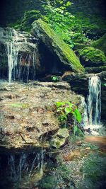 View of waterfall in forest