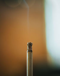 Close-up of cigarette 