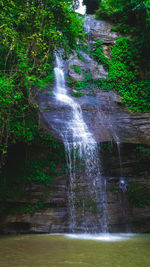 Scenic view of waterfall in forest