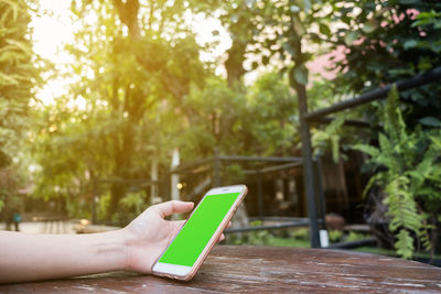 Man holding mobile phone while sitting on tree