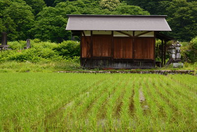 House on field against trees and plants