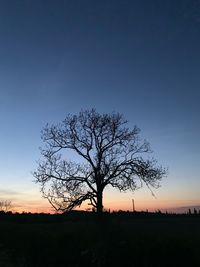 Silhouette bare tree on field against sky at sunset