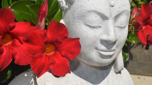 Close-up of statue of red flowering plant