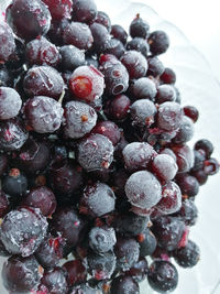 Close-up of blueberries in bowl