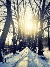 Snow covered landscape at sunset