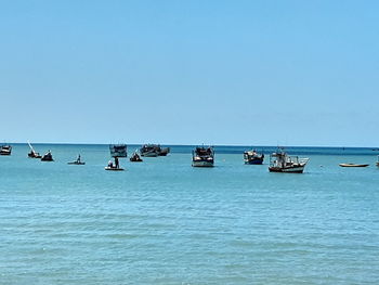 Sailboats in sea against clear sky