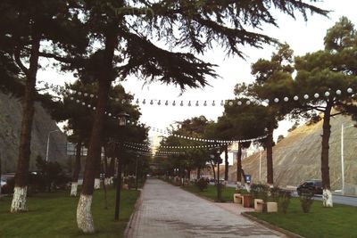 Footpath amidst trees and buildings against sky