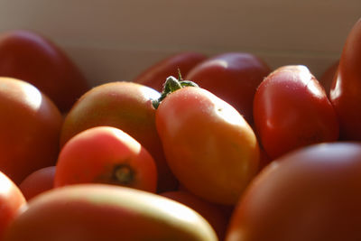 A red ripe eco-friendly tomatoes on the windowsill on a sunny morning