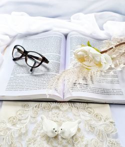 High angle view of white flower on table