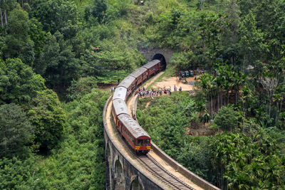 Railroad tracks amidst trees in forest