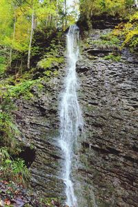 Waterfall in forest