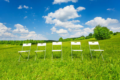 Scenic view of field against sky