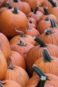 Full frame shot of pumpkins