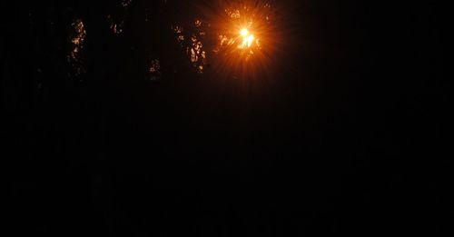 Low angle view of silhouette trees against sky at night