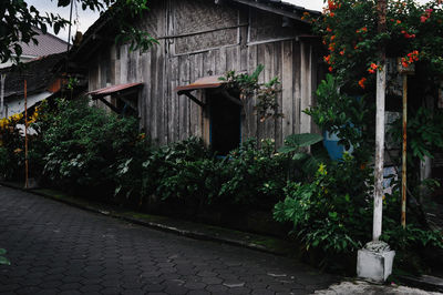 Houses with trees in background