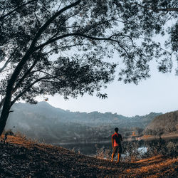 Rear view of man standing by tree against mountains