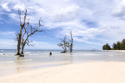 Scenic view of beach against sky