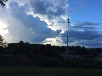 Trees on field against sky