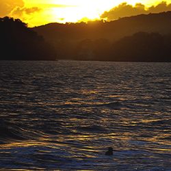 Scenic view of sea at sunset