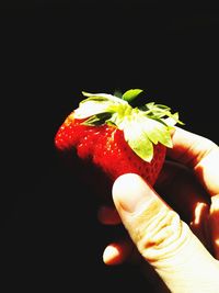 Close-up of hand holding strawberry over black background