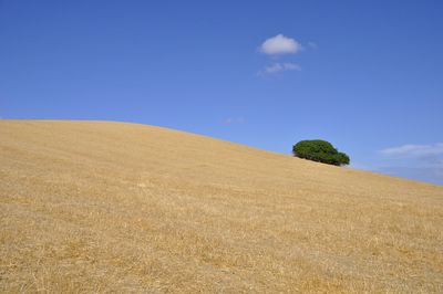 Scenic view of field against clear blue sky