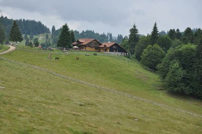 Scenic view of grassy field against cloudy sky