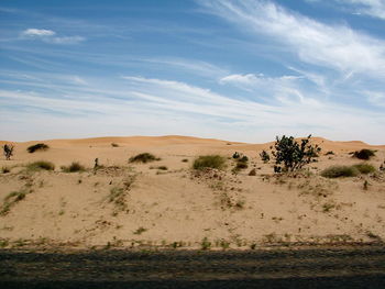 Scenic view of desert against sky