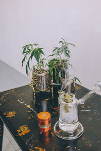 Close-up of plant on table