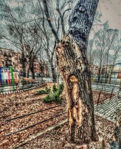 Bare trees by railroad tracks against sky