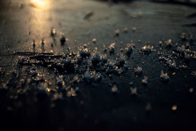 Surface level of wet street