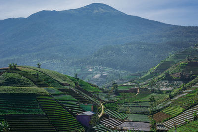 High angle view of townscape against mountain