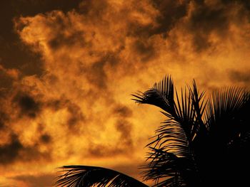 Silhouette of palm trees against cloudy sky