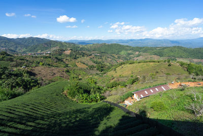 Scenic view of agricultural landscape against sky