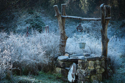 Old abandoned well in forest