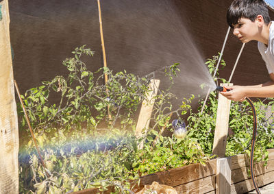 Boy watering the vegetable and tomatoes garden. growth concept. healthy lifestyle and sustainability
