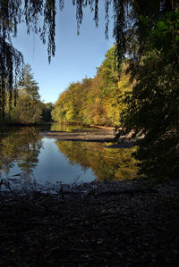 Scenic view of lake amidst trees in forest against sky