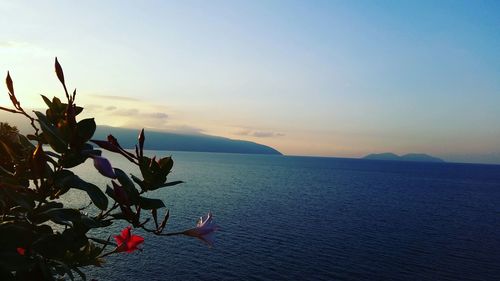 Scenic view of sea at sunset