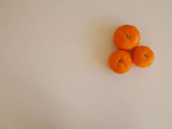 High angle view of orange fruit against white background