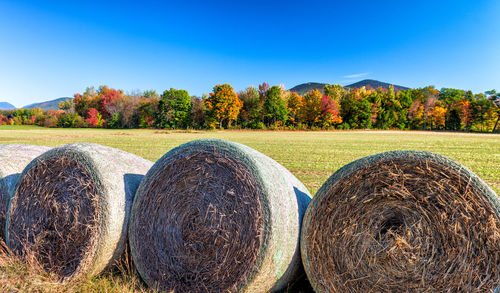 Hay bales on field against sky