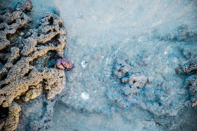 High angle view of rocks on rock