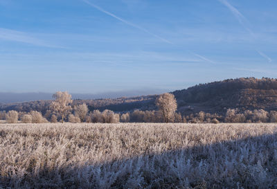 Scenic view of field against sky during winter