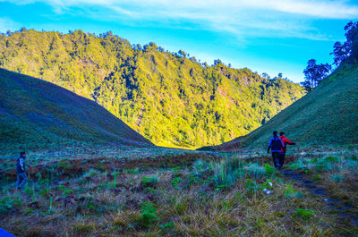 Rear view of man amidst trees against sky