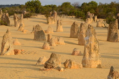 View of a desert