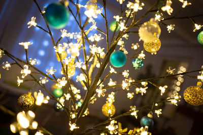 Low angle view of christmas tree