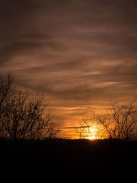 Silhouette bare trees on landscape against sky during sunset