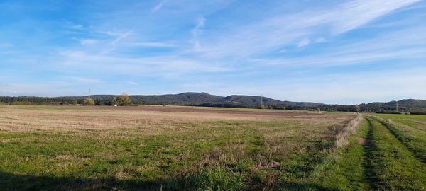 Scenic view of field against sky