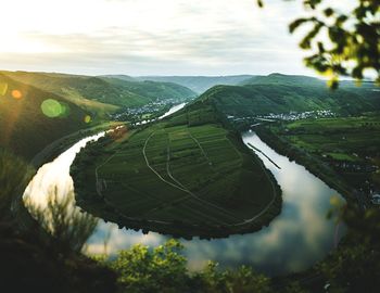 Scenic view of agricultural landscape against sky