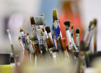 Close-up of paintbrushes