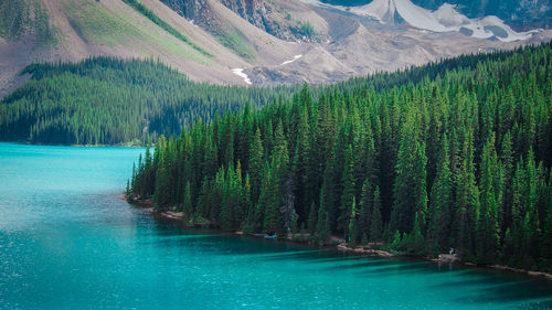 Scenic view of lake by trees