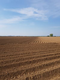 Hay bales on field against sky